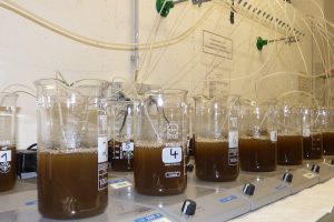Test de inhibición de la respiración según aplicación de la normativa OECD 209.