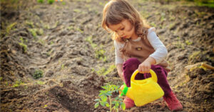 Educación ambiental 1 FQEDAR.